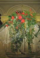 /album/galleria-foto-natale/navnav-014-jpg1/